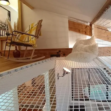 Le Marechal Duplex - Avec Jacuzzi - Hyper Centre * 캉