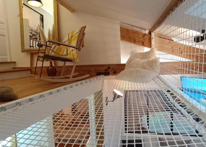 Le Marechal Duplex - Avec Jacuzzi - Hyper Centre * カーン