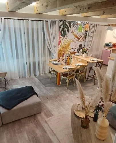 Le Marechal Duplex - Avec Jacuzzi - Hyper Centre カーン